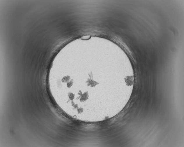 X0000110710058200907241154