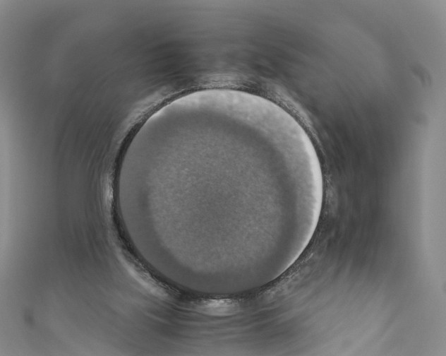 X0000110710059200907241154