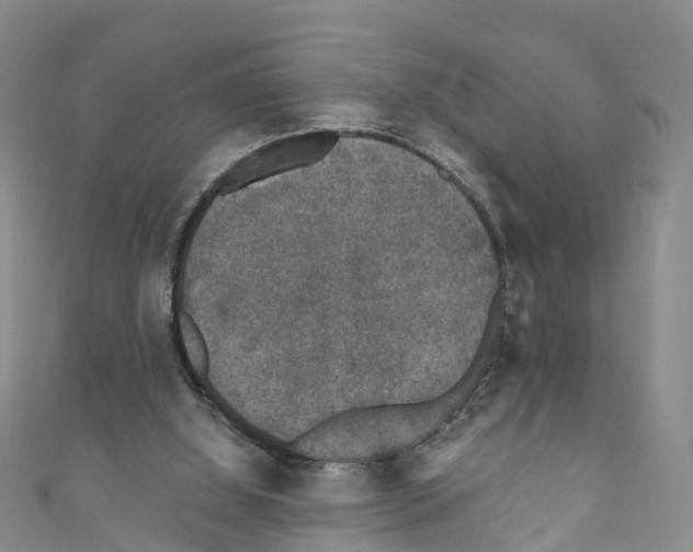 X0000110710060200907241154