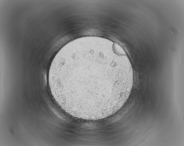 X0000110710061200907241154