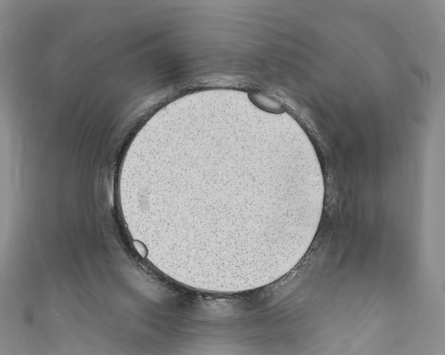 X0000110710062200907241154