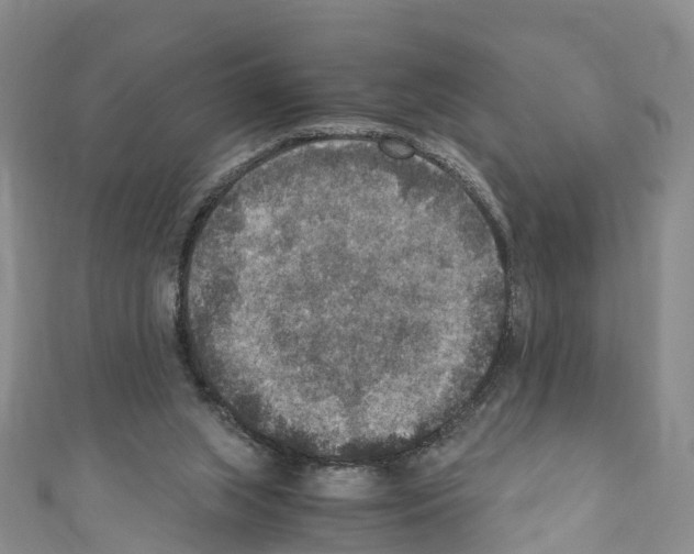 X0000110710063200907241154