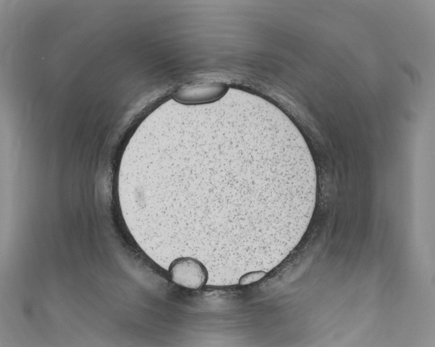 X0000110710064200907241154