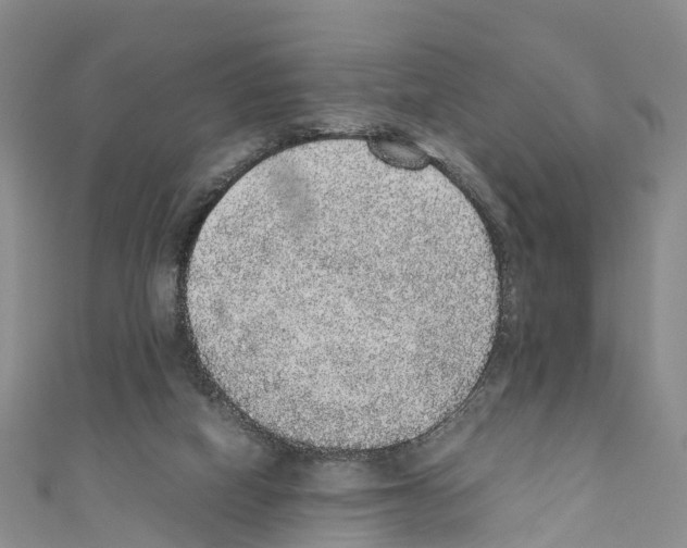 X0000110710066200907241154