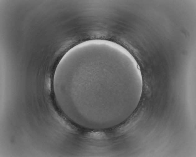 X0000110710067200907241154