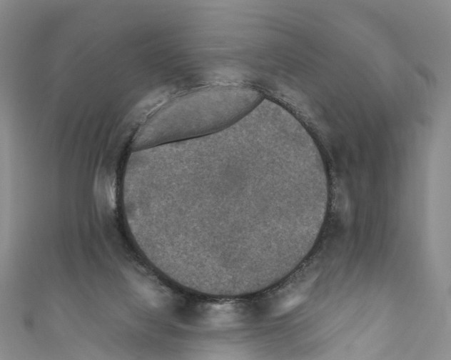 X0000110710068200907241154