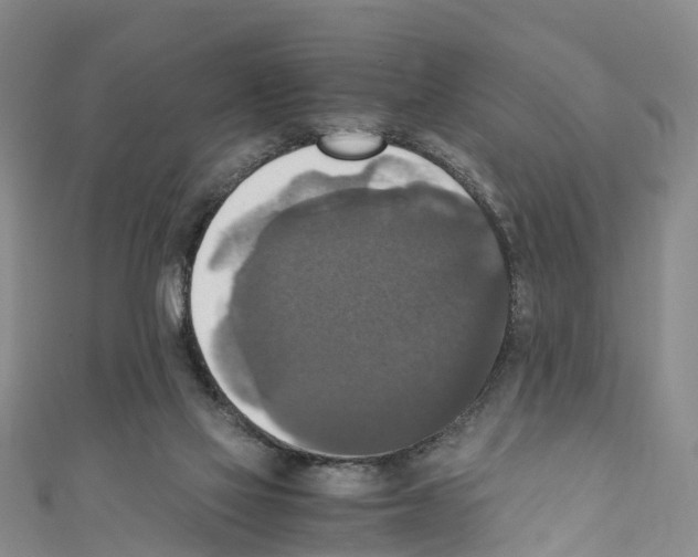 X0000110710069200907241154