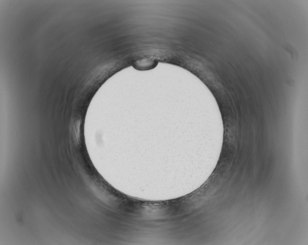 X0000110710070200907241154