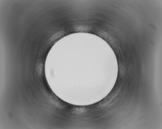 X0000110710071200907241154