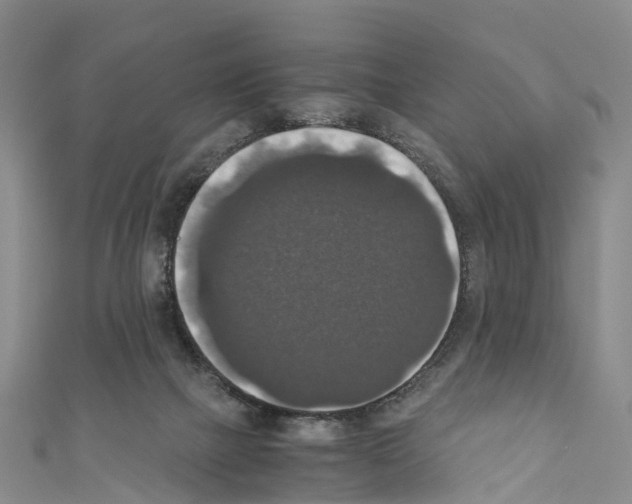X0000110710073200907241154