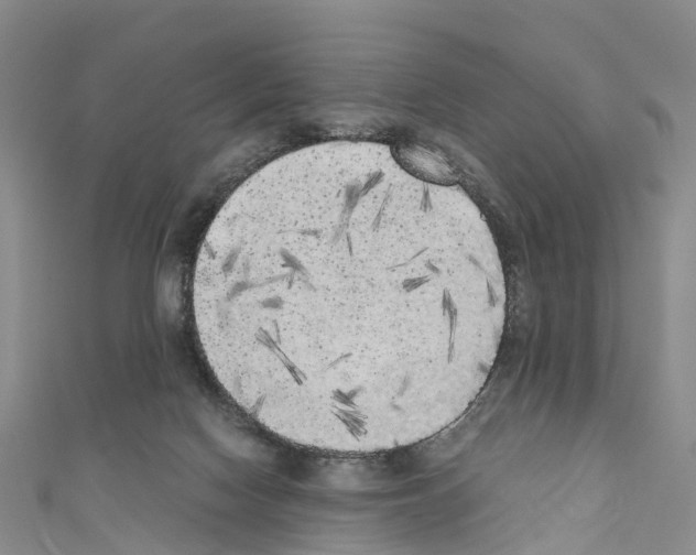 X0000110710074200907241154