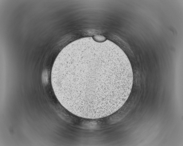 X0000110710075200907241154