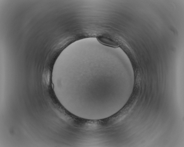 X0000110710076200907241154