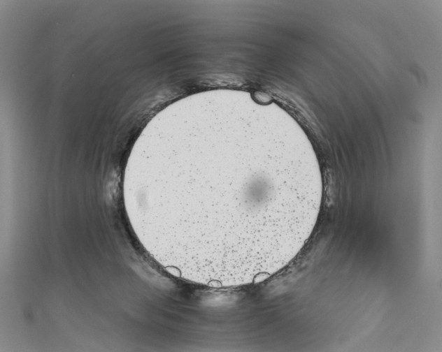 X0000110710077200907241154