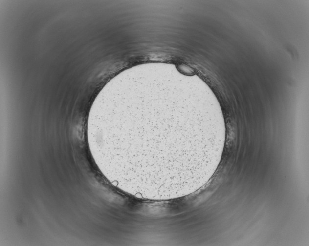 X0000110710078200907241154