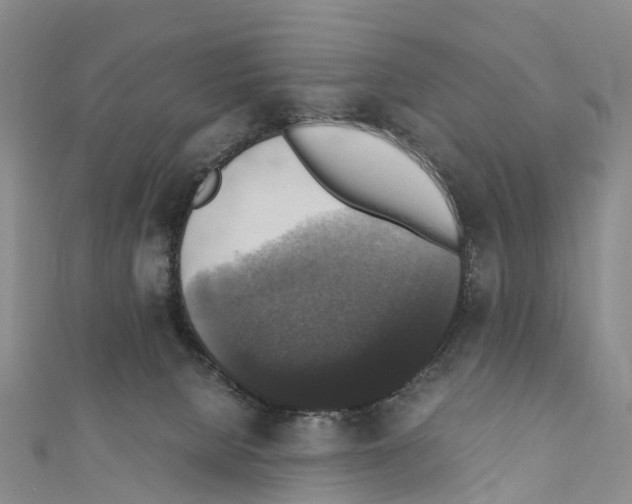 X0000110710080200907241154