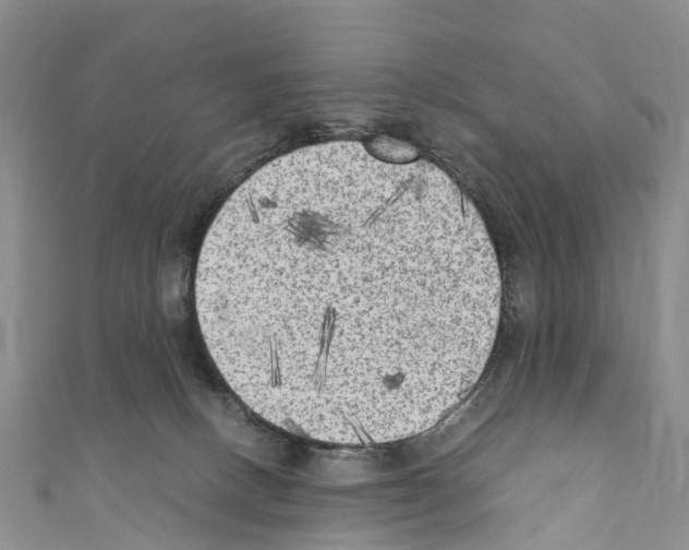 X0000110710082200907241154