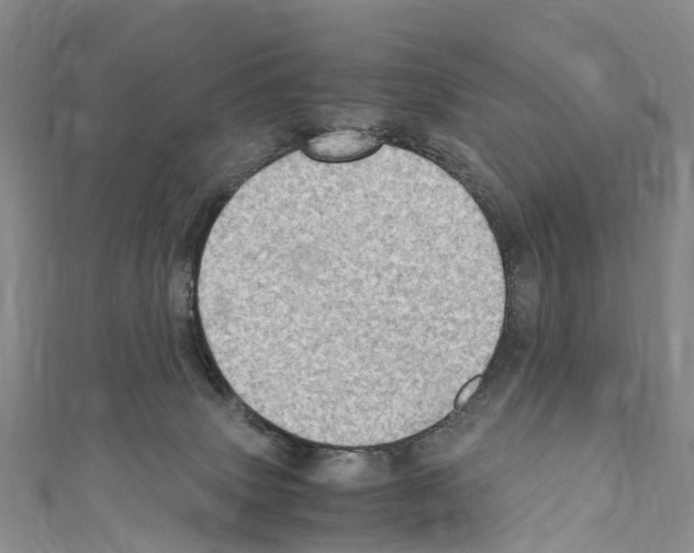 X0000110710083200907241154