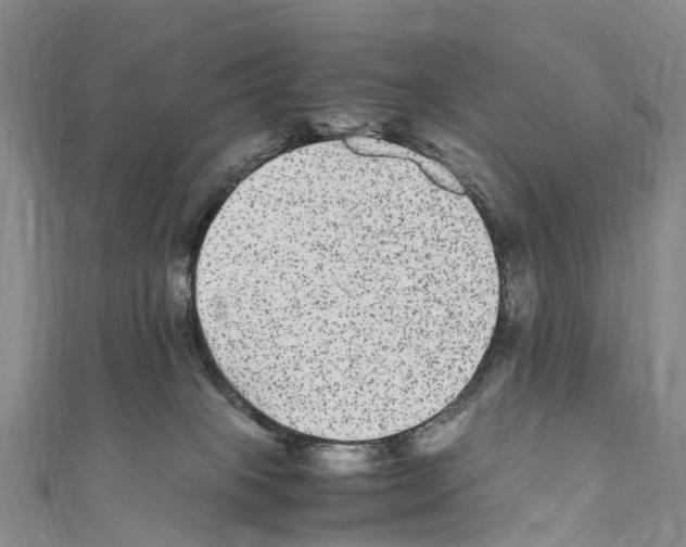 X0000110710085200907241154