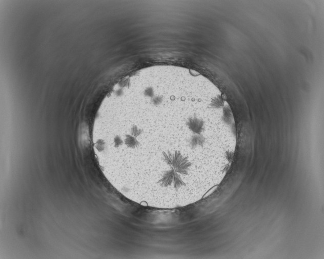 X0000110710089200907241154