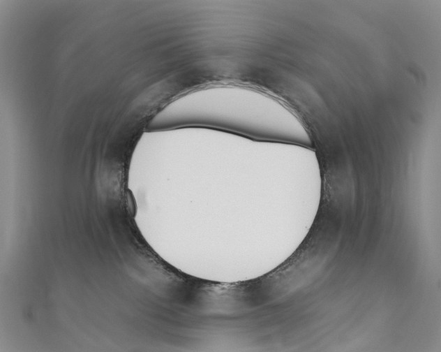 X0000110710092200907241154