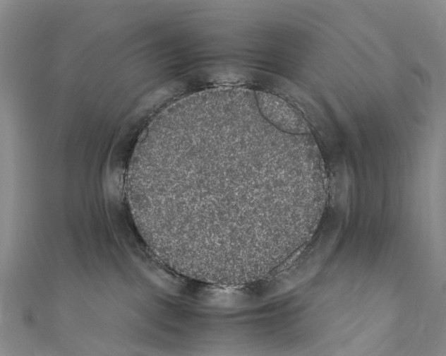 X0000110710093200907241154