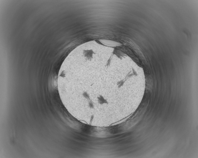 X0000110710095200907241154