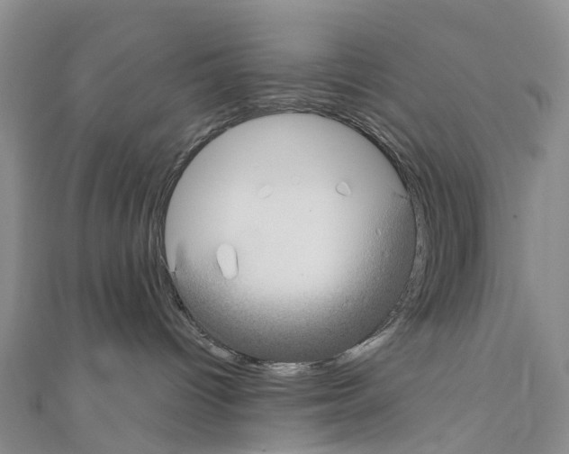 X0000110710096200907241154