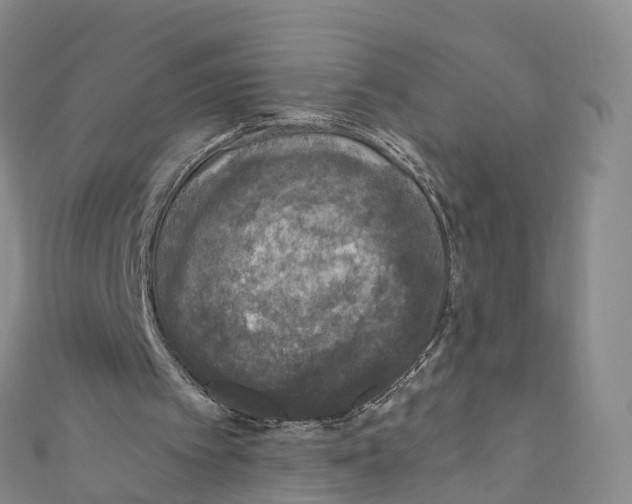X0000110710097200907241154