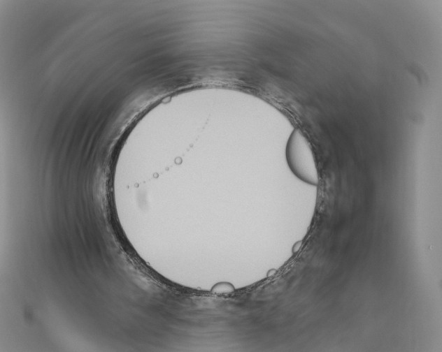 X0000110710098200907241154