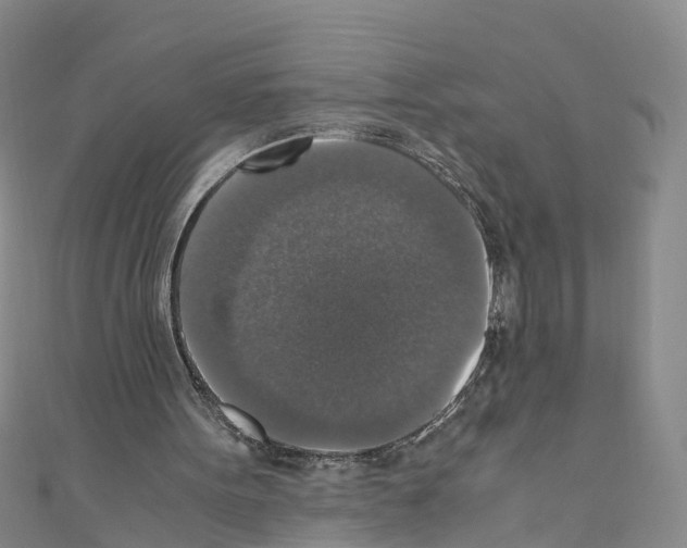 X0000110710099200907241154