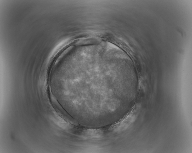 X0000110710101200907241154