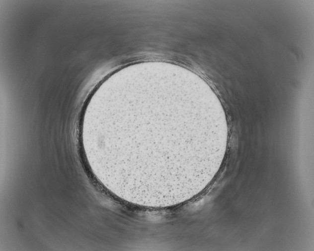 X0000110710103200907241154