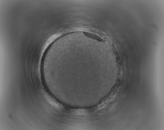 X0000110710104200907241154