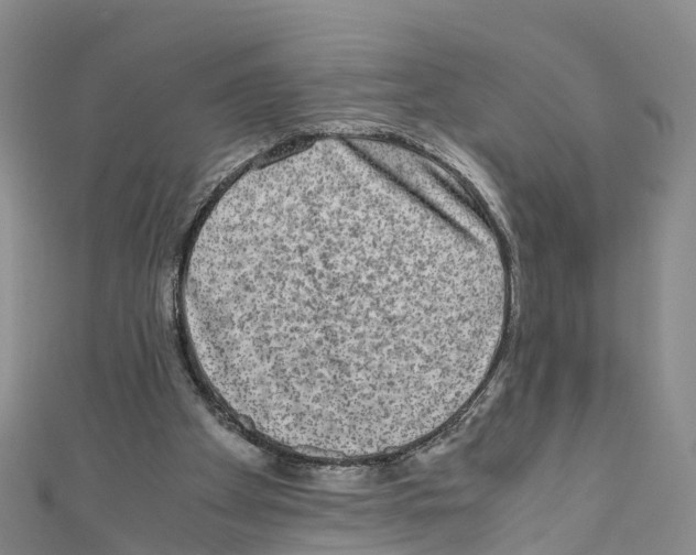 X0000110710105200907241154