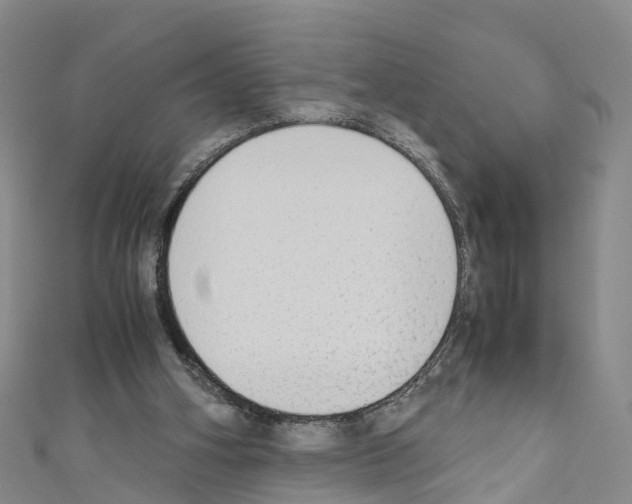 X0000110710106200907241154