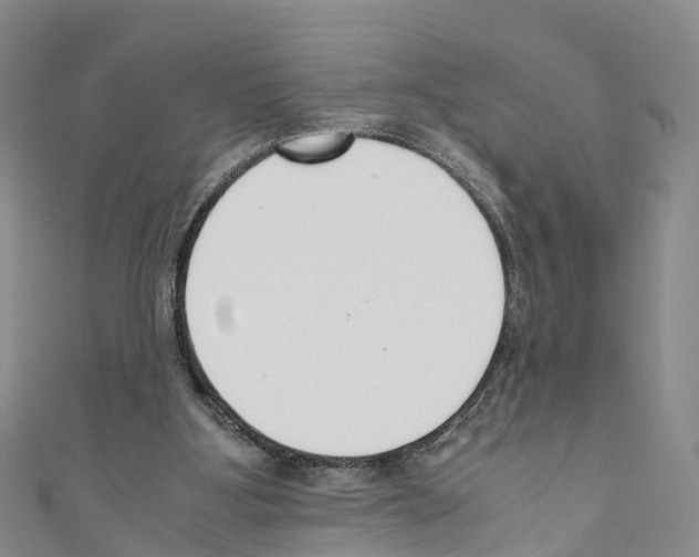 X0000110710107200907241154