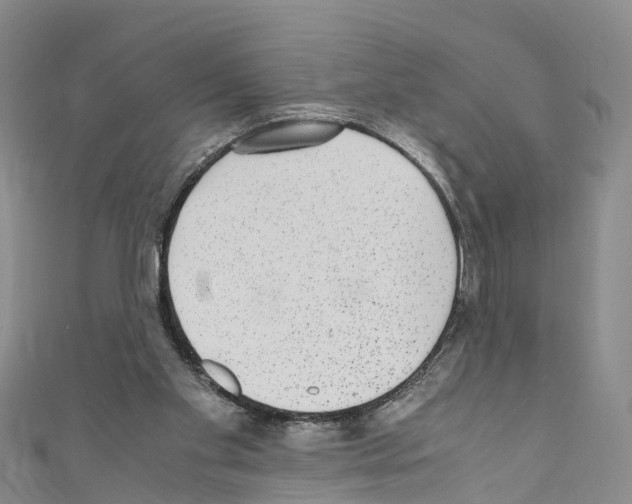X0000110710109200907241154