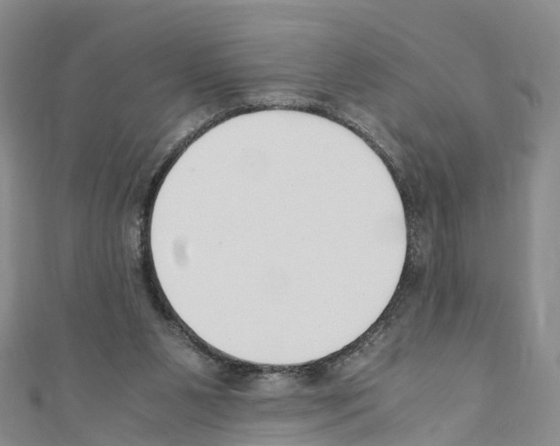 X0000110710111200907241154