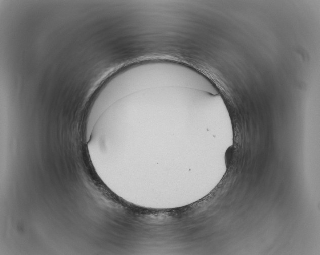 X0000110710112200907241153