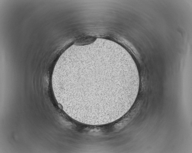 X0000110710113200907241153