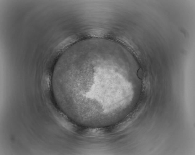 X0000110710117200907241153