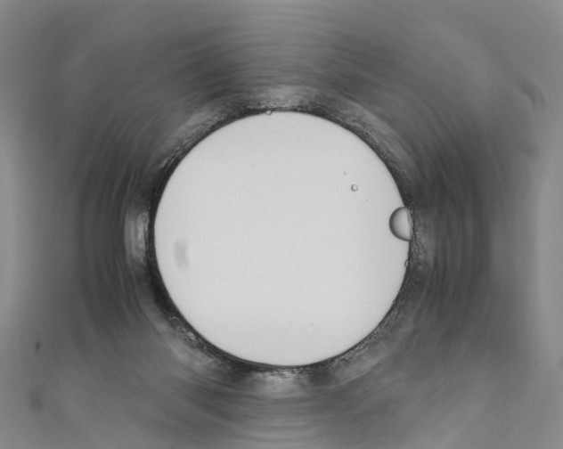 X0000110710118200907241153