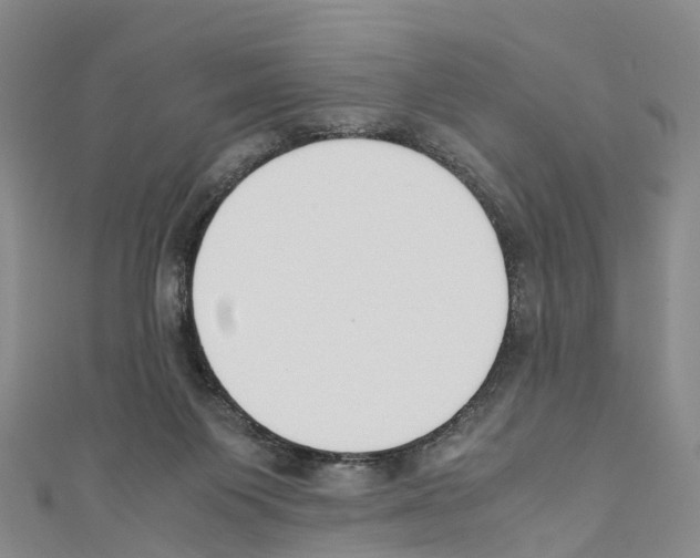 X0000110710119200907241153