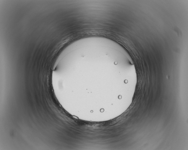 X0000110710120200907241153