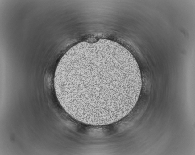 X0000110710123200907241153