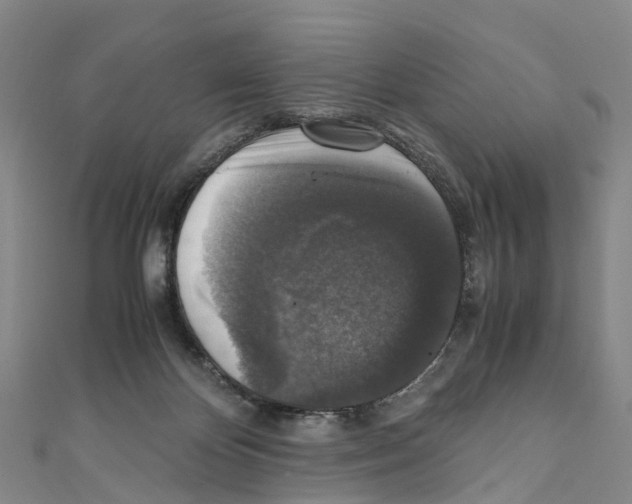 X0000110710124200907241153