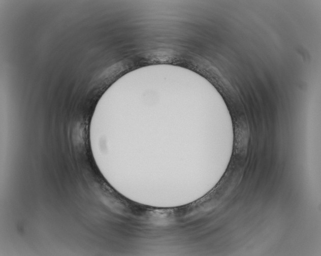 X0000110710126200907241153