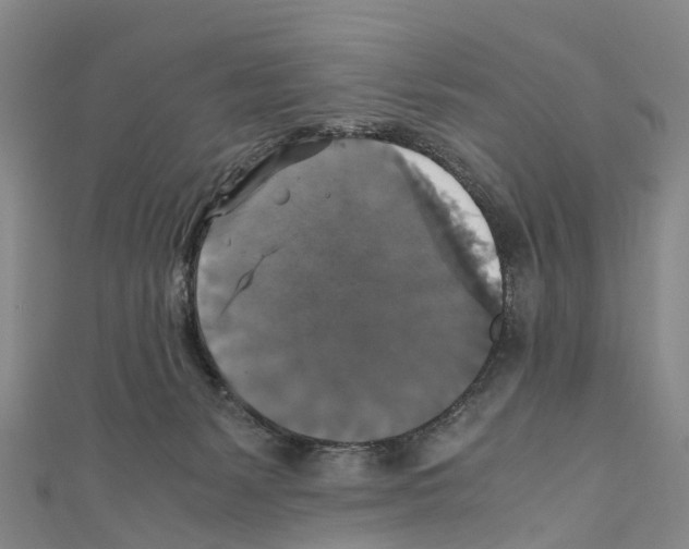 X0000110710127200907241153
