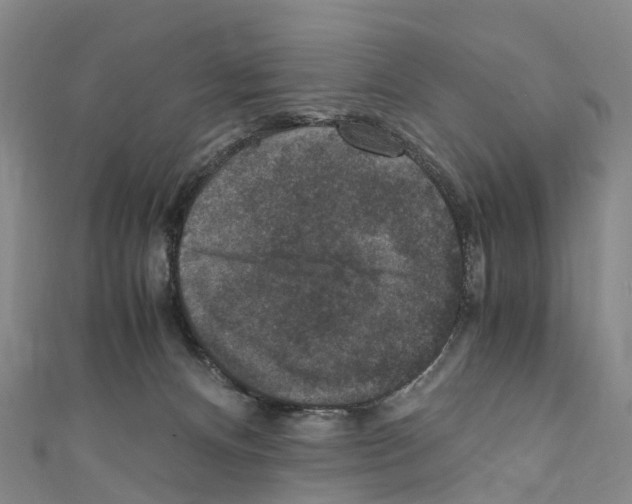 X0000110710128200907241153